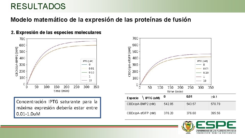 RESULTADOS Modelo matemático de la expresión de las proteínas de fusión 2. Expresión de