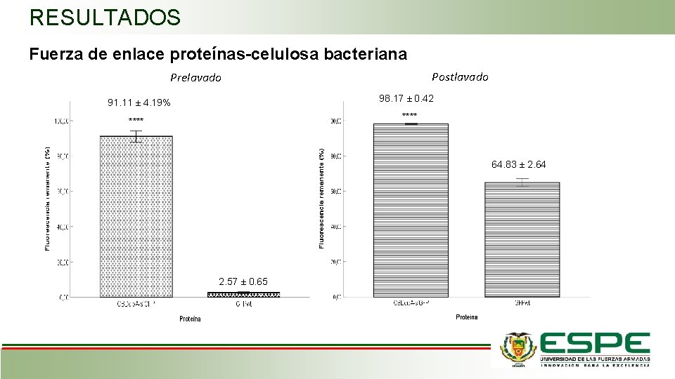 RESULTADOS Fuerza de enlace proteínas-celulosa bacteriana Postlavado Prelavado 98. 17 ± 0. 42 91.