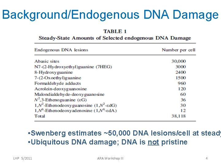 Background/Endogenous DNA Damage • Swenberg estimates ~50, 000 DNA lesions/cell at steady • Ubiquitous
