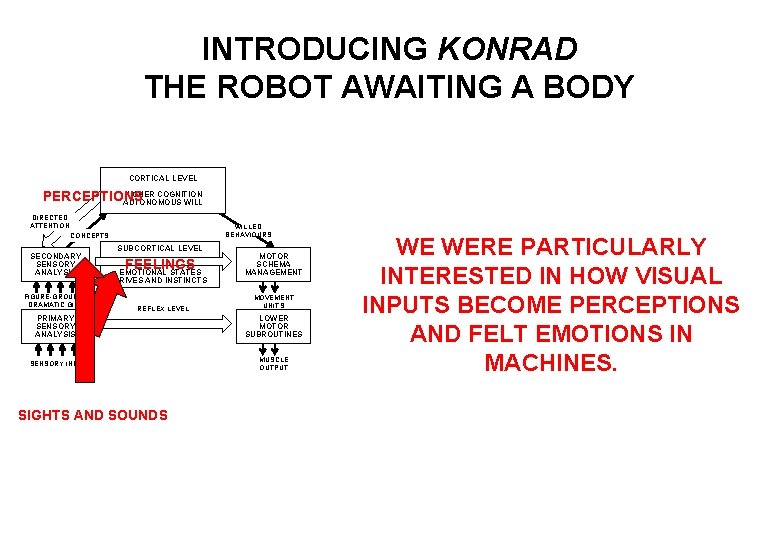 INTRODUCING KONRAD THE ROBOT AWAITING A BODY CORTICAL LEVEL HIGHER COGNITION PERCEPTIONS AUTONOMOUS WILL