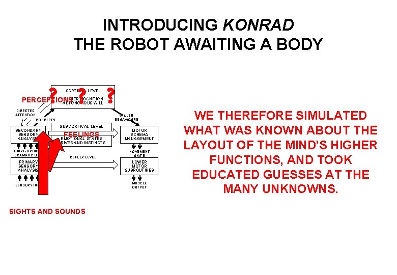 INTRODUCING KONRAD THE ROBOT AWAITING A BODY ? ? ? CORTICAL LEVEL HIGHER COGNITION