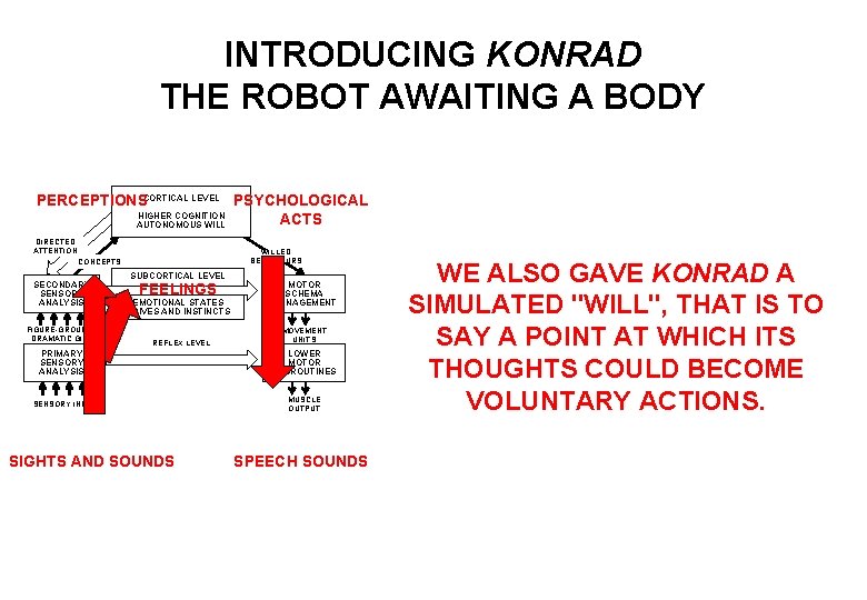 INTRODUCING KONRAD THE ROBOT AWAITING A BODY PERCEPTIONSCORTICAL LEVEL PSYCHOLOGICAL HIGHER COGNITION ACTS AUTONOMOUS