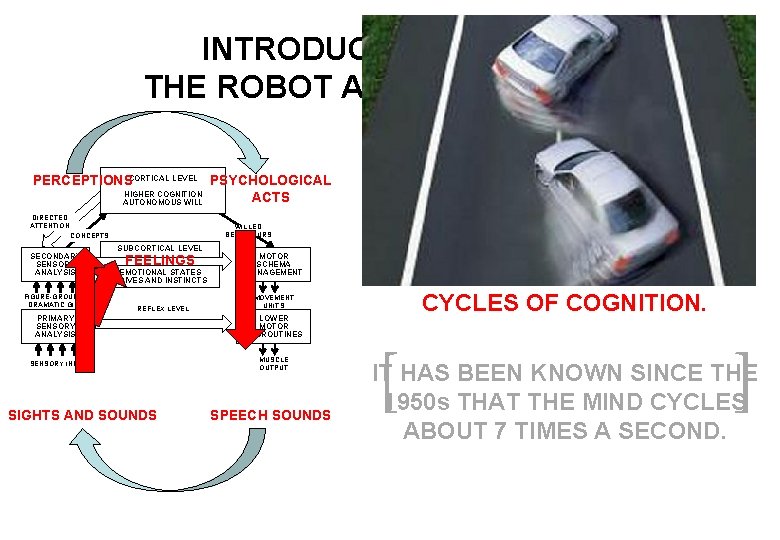 INTRODUCING KONRAD THE ROBOT AWAITING A BODY PERCEPTIONSCORTICAL LEVEL PSYCHOLOGICAL HIGHER COGNITION ACTS AUTONOMOUS