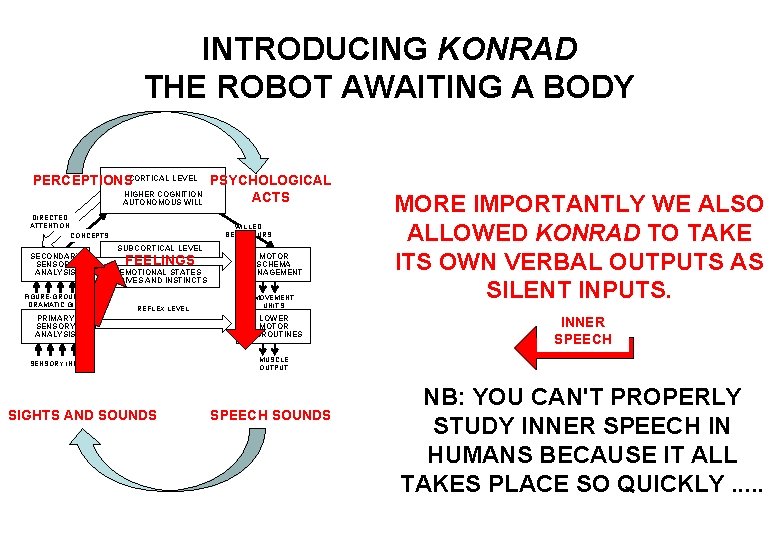 INTRODUCING KONRAD THE ROBOT AWAITING A BODY PERCEPTIONSCORTICAL LEVEL PSYCHOLOGICAL HIGHER COGNITION ACTS AUTONOMOUS