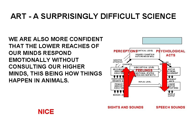 ART - A SURPRISINGLY DIFFICULT SCIENCE WE ARE ALSO MORE CONFIDENT THAT THE LOWER