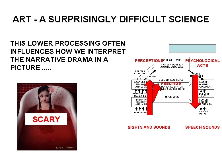 ART - A SURPRISINGLY DIFFICULT SCIENCE THIS LOWER PROCESSING OFTEN INFLUENCES HOW WE INTERPRET