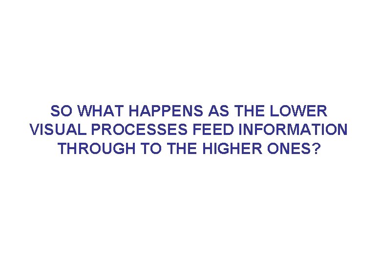 SO WHAT HAPPENS AS THE LOWER VISUAL PROCESSES FEED INFORMATION THROUGH TO THE HIGHER