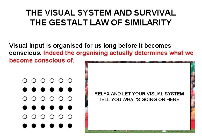 THE VISUAL SYSTEM AND SURVIVAL THE GESTALT LAW OF SIMILARITY Visual input is organised