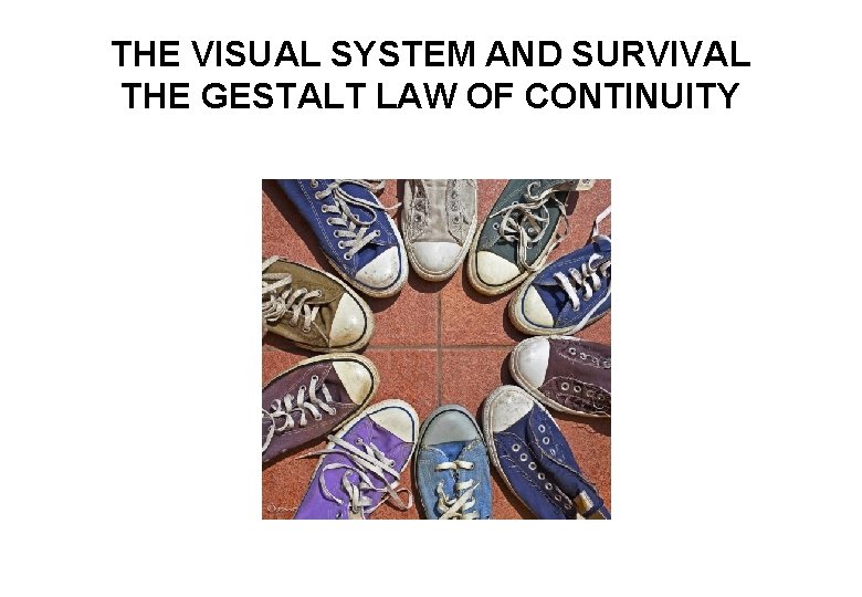 THE VISUAL SYSTEM AND SURVIVAL THE GESTALT LAW OF CONTINUITY 