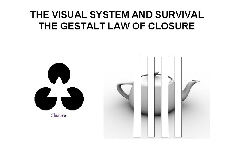 THE VISUAL SYSTEM AND SURVIVAL THE GESTALT LAW OF CLOSURE 