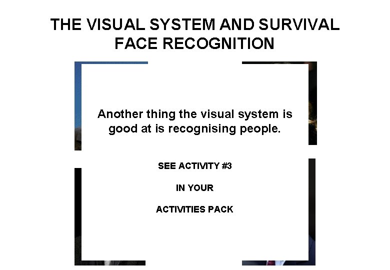 THE VISUAL SYSTEM AND SURVIVAL FACE RECOGNITION Another thing the visual system is good