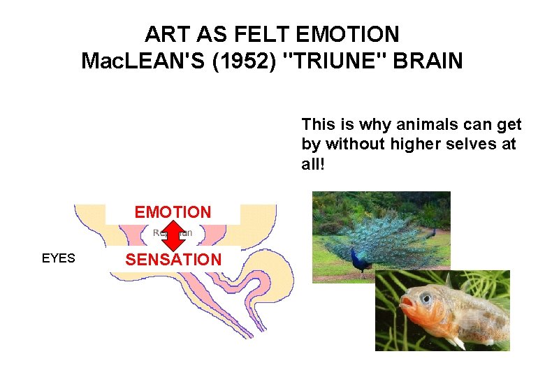 ART AS FELT EMOTION Mac. LEAN'S (1952) "TRIUNE" BRAIN FELT EMOTION EYES SENSATION This