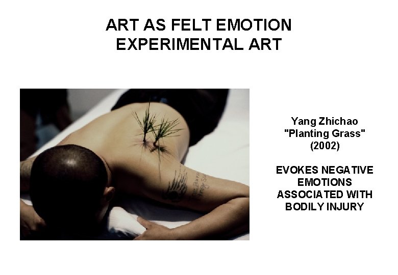 ART AS FELT EMOTION EXPERIMENTAL ART Yang Zhichao "Planting Grass" (2002) EVOKES NEGATIVE EMOTIONS
