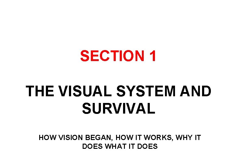 SECTION 1 THE VISUAL SYSTEM AND SURVIVAL HOW VISION BEGAN, HOW IT WORKS, WHY