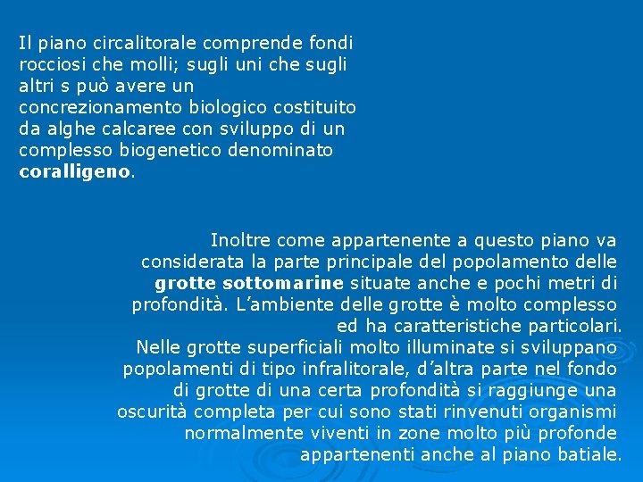 Il piano circalitorale comprende fondi rocciosi che molli; sugli uni che sugli altri s