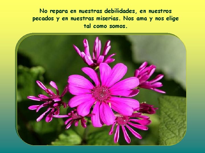No repara en nuestras debilidades, en nuestros pecados y en nuestras miserias. Nos ama