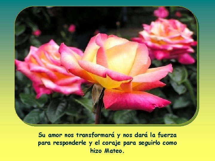 Su amor nos transformará y nos dará la fuerza para responderle y el coraje