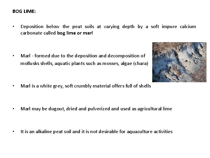 BOG LIME: • Deposition below the peat soils at varying depth by a soft