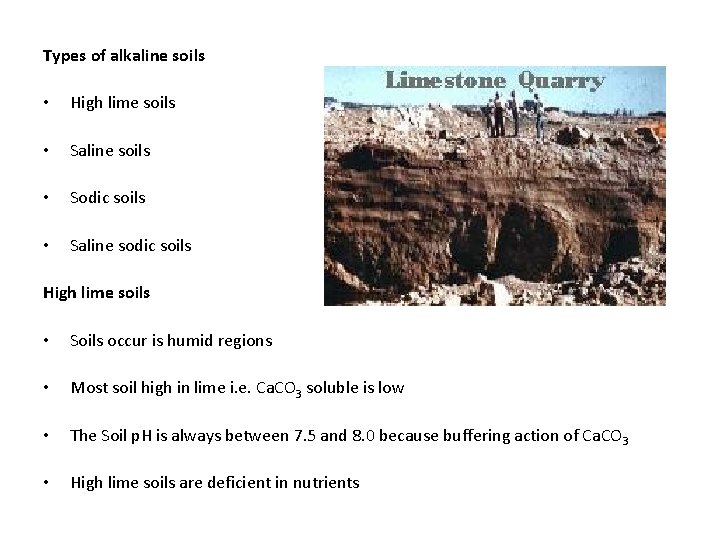 Types of alkaline soils • High lime soils • Saline soils • Sodic soils