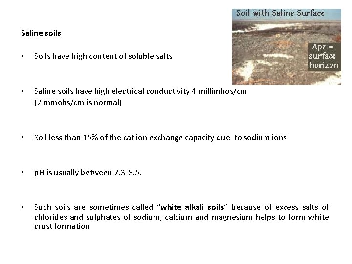 Saline soils • Soils have high content of soluble salts • Saline soils have