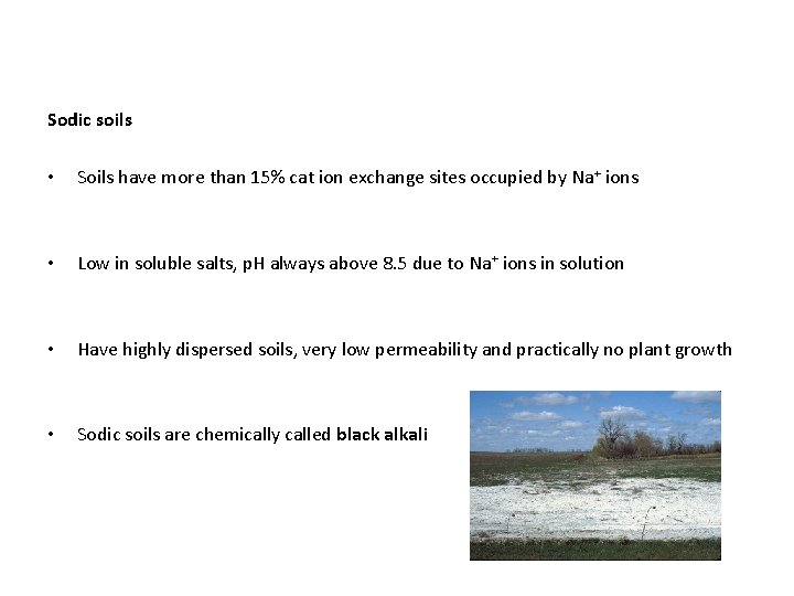 Sodic soils • Soils have more than 15% cat ion exchange sites occupied by