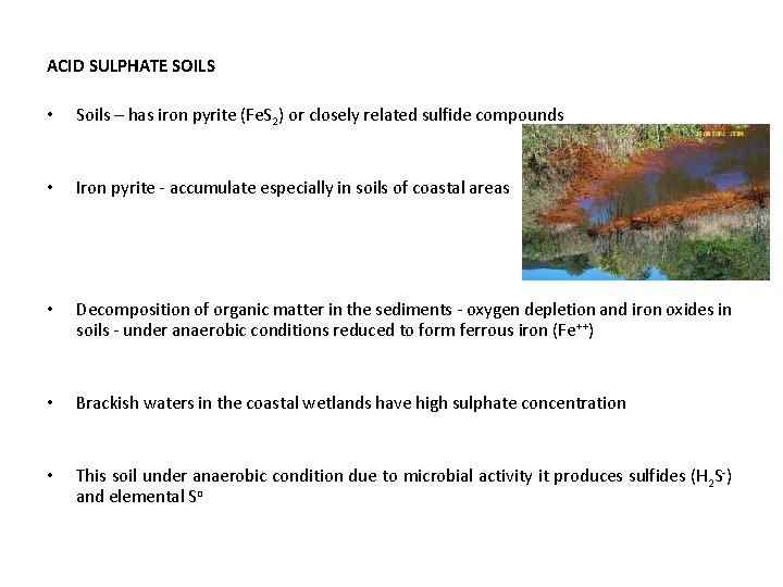 ACID SULPHATE SOILS • Soils – has iron pyrite (Fe. S 2) or closely
