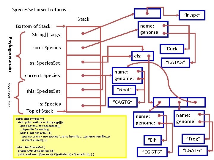 Species. Set. insert returns… “in. spc” Stack name: genome: Bottom of Stack Phylogeny. main