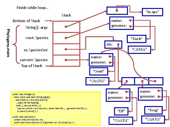 Finish while loop… “in. spc” Stack name: genome: Bottom of Stack Phylogeny. main String[]: