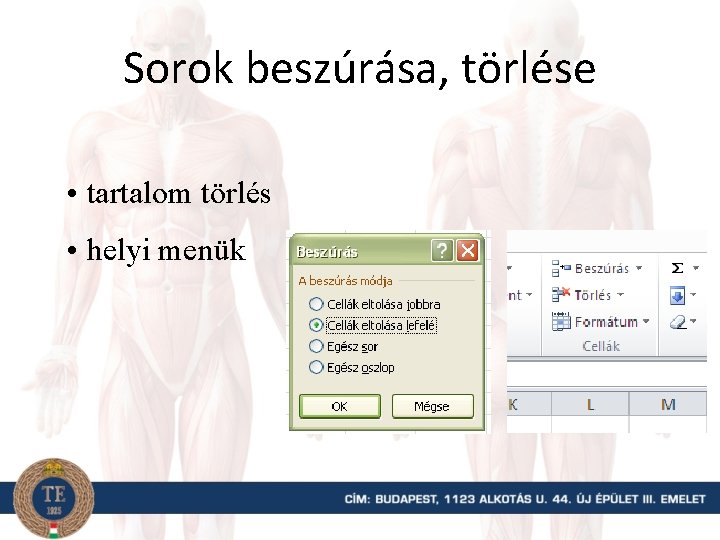 Sorok beszúrása, törlése • tartalom törlés • helyi menük 