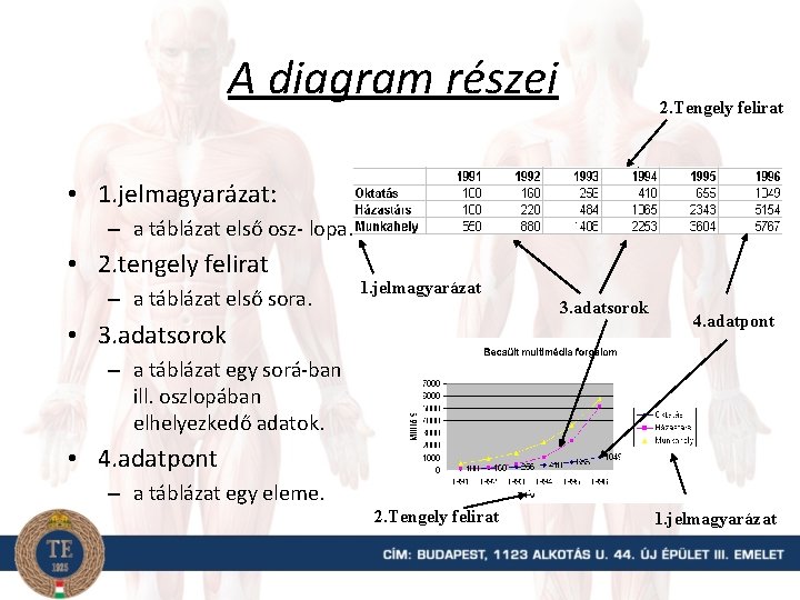 A diagram részei 2. Tengely felirat • 1. jelmagyarázat: – a táblázat első osz-