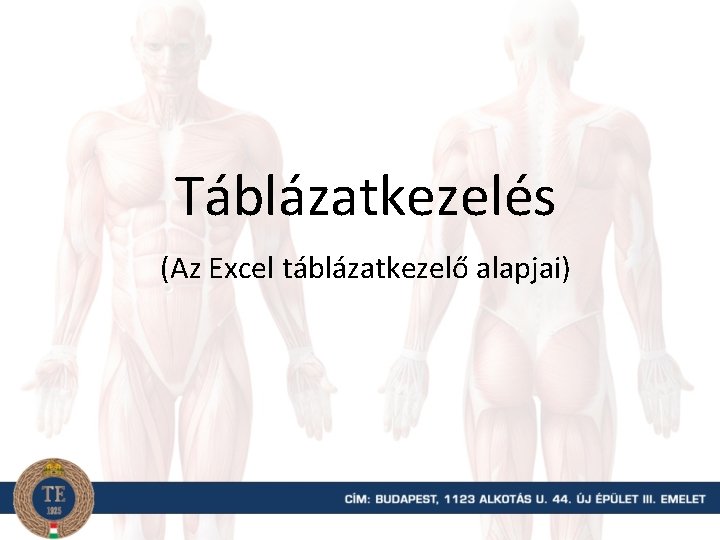 Táblázatkezelés (Az Excel táblázatkezelő alapjai) 