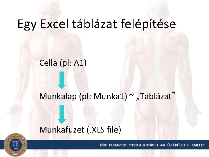 Egy Excel táblázat felépítése Cella (pl: A 1) Munkalap (pl: Munka 1) ~ „Táblázat”