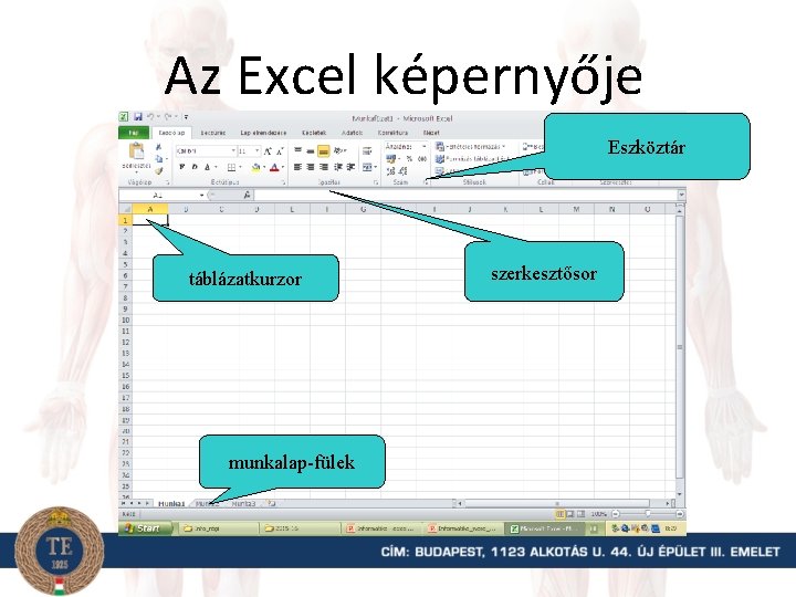 Az Excel képernyője Eszköztár táblázatkurzor munkalap-fülek szerkesztősor 