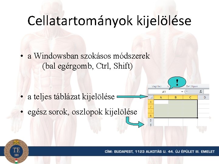 Cellatartományok kijelölése • a Windowsban szokásos módszerek (bal egérgomb, Ctrl, Shift) ! • a