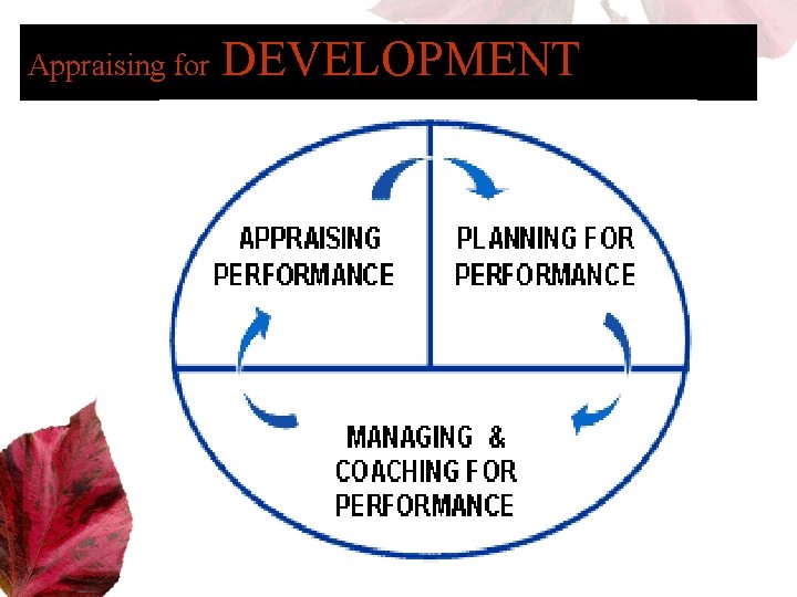 Appraising for DEVELOPMENT 