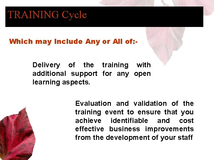 TRAINING Cycle Which may Include Any or All of: Delivery of the training with