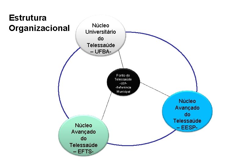 Estrutura Organizacional Núcleo Universitário do Telessaúde – UFBA- Ponto do Telessaúde -USF-Referência Municipal Núcleo