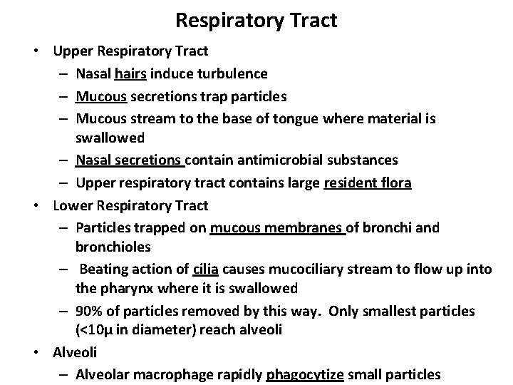 Respiratory Tract • Upper Respiratory Tract – Nasal hairs induce turbulence – Mucous secretions