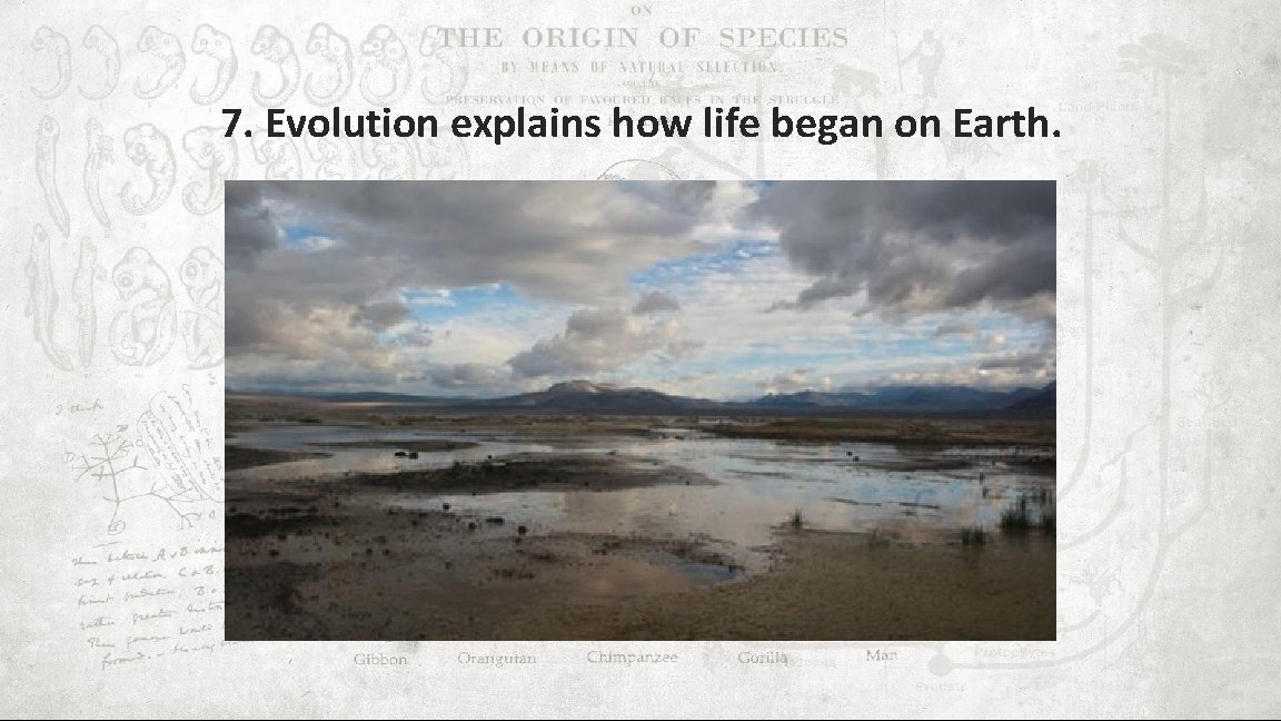 7. Evolution explains how life began on Earth. 