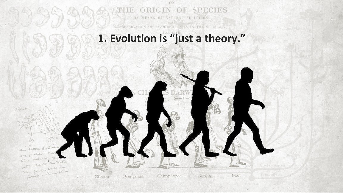 1. Evolution is “just a theory. ” 