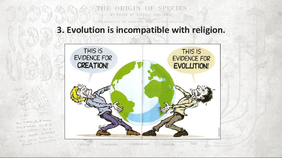 3. Evolution is incompatible with religion. 