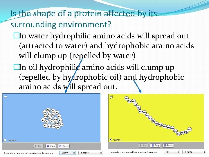 Is the shape of a protein affected by its surrounding environment? �In water hydrophilic