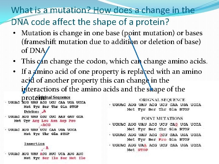 What is a mutation? How does a change in the DNA code affect the