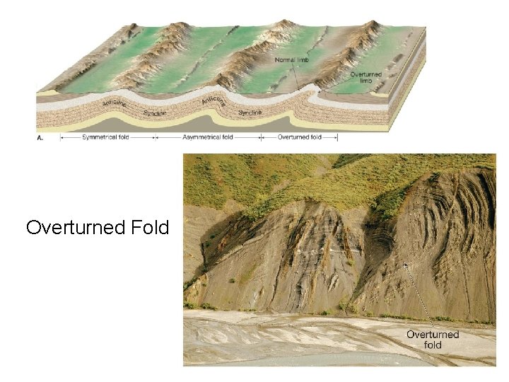 Overturned Fold 