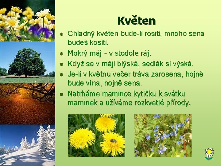 Květen Chladný květen bude-li rositi, mnoho sena budeš kositi. Mokrý máj - v stodole