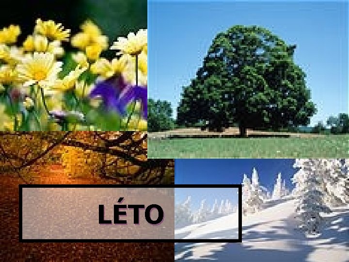 LÉTO 