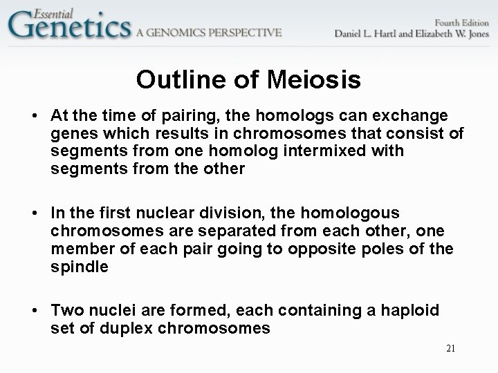 Outline of Meiosis • At the time of pairing, the homologs can exchange genes