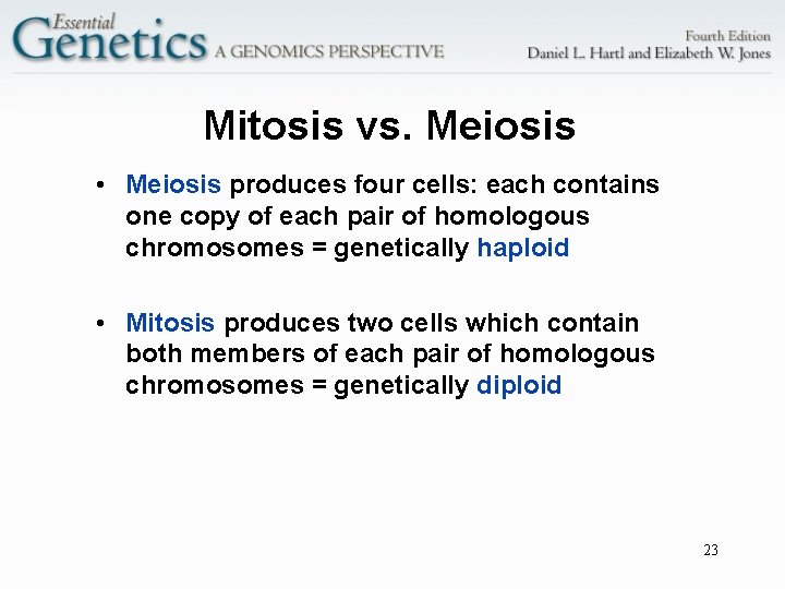 Mitosis vs. Meiosis • Meiosis produces four cells: each contains one copy of each