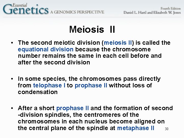 Meiosis II • The second meiotic division (meiosis II) is called the equational division