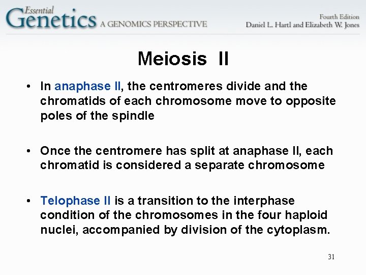 Meiosis II • In anaphase II, the centromeres divide and the chromatids of each